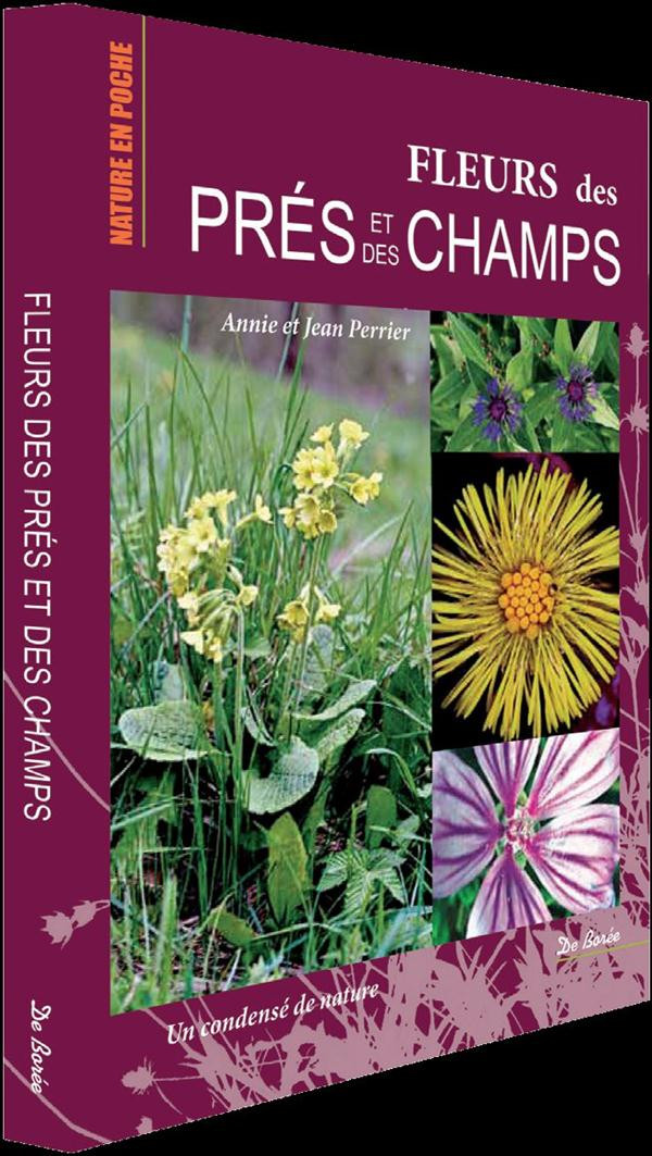 Fleurs des prés et des champs