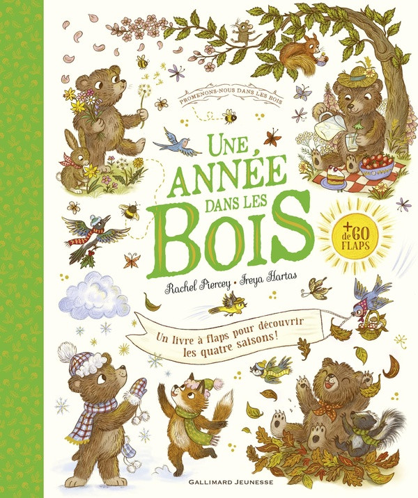 Une année dans les bois. Un livre à flaps pour découvrir les quatre saisons !