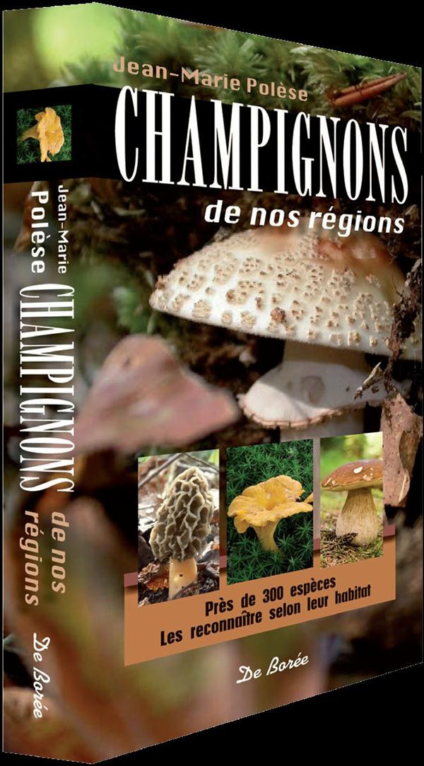 Champignons de nos régions. Près de 300 espèces, les reconnaître selon leur habitat