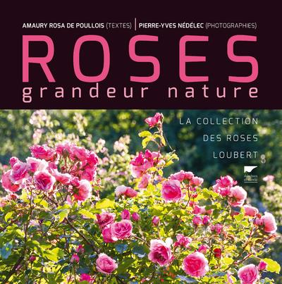 Roses grandeur nature. La collection des roses Loubert
