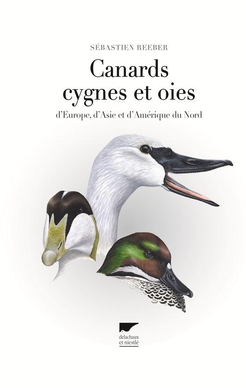 Canards, cygnes et oies d'Europe, d'Asie et d'Amérique du nord