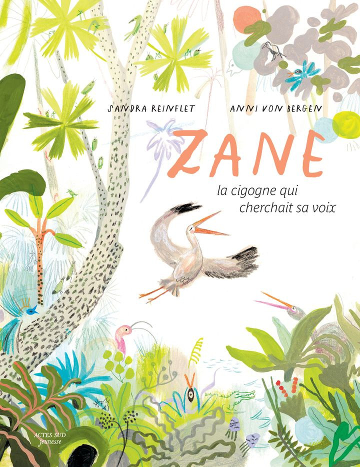 Zane, la cigogne qui cherchait sa voix