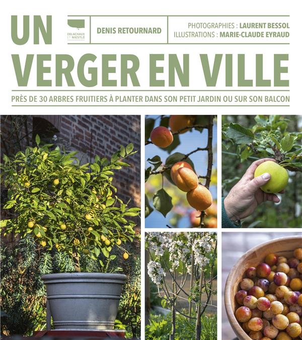 Un verger en ville. Près de 30 arbres fruitiers à planter dans son petit jardin ou sur son balcon
