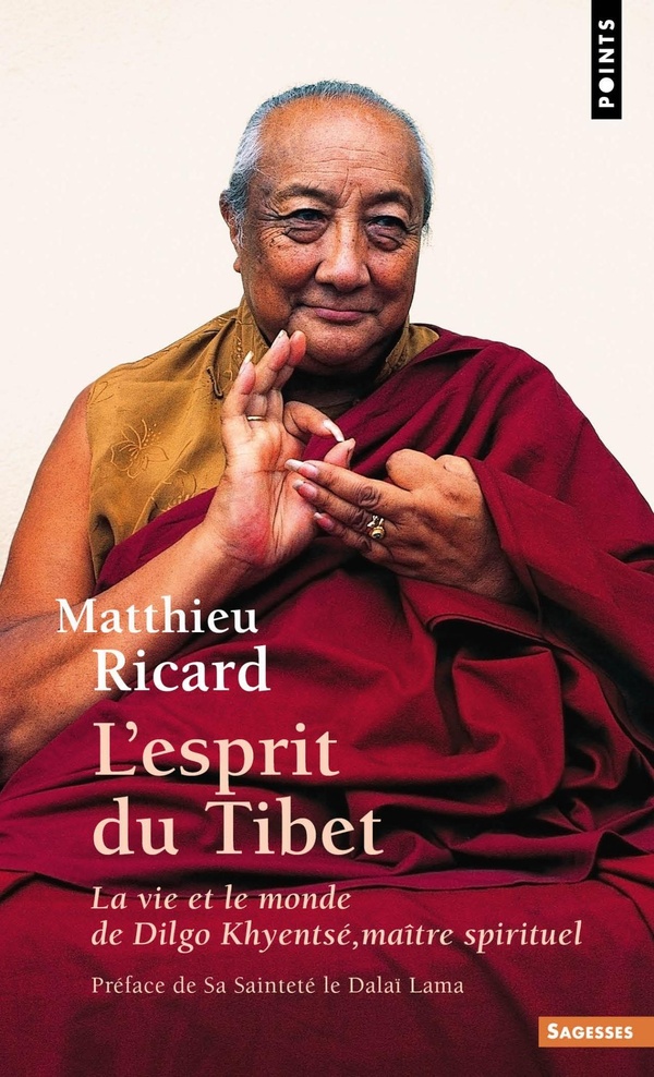 L'Esprit du Tibet. La Vie et le monde de Dilgo Khyentsé, maître spirituel