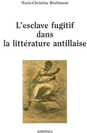 L'esclave fugitif dans la littérature antillaise. Sur la déclive du morne