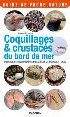 Coquillages & crustacés. Observer et reconnaître 50 espèces de notre littoral