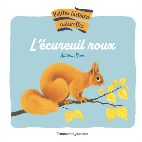L'écureuil roux