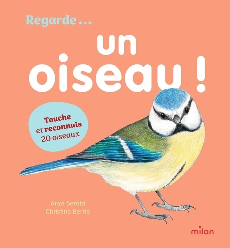 Regarde... Un oiseau ! Touche et reconnais 20 oiseaux