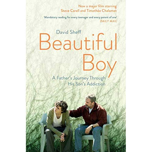 Beautiful Boy : A Father's Journey Through His Son's Addiction (VO)