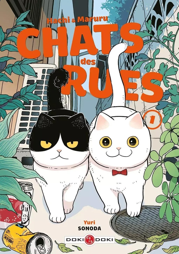Hachi & Maruru, chats des rues Tomes 1 et 2 : Pack en 2 volumes