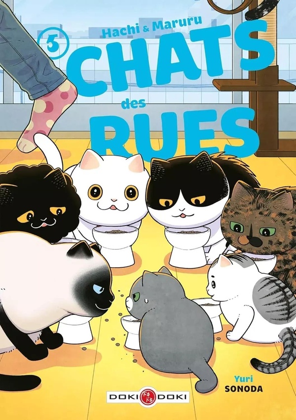 Hachi & Maruru, chats des rues - Pack en 2 volumes : Tomes 5 et 6
