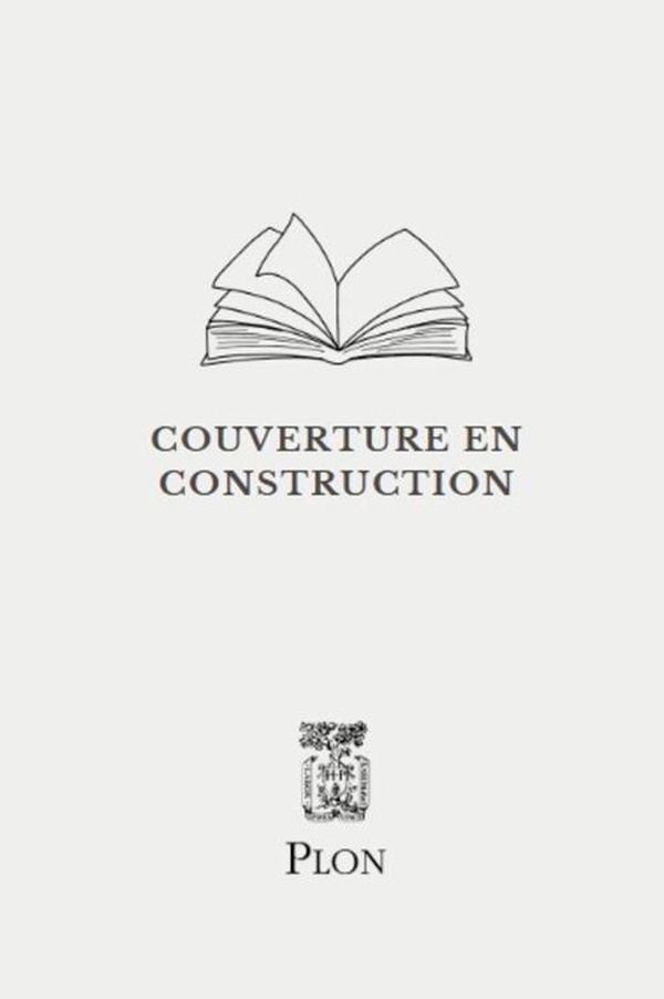 Un pilote dans la tempête