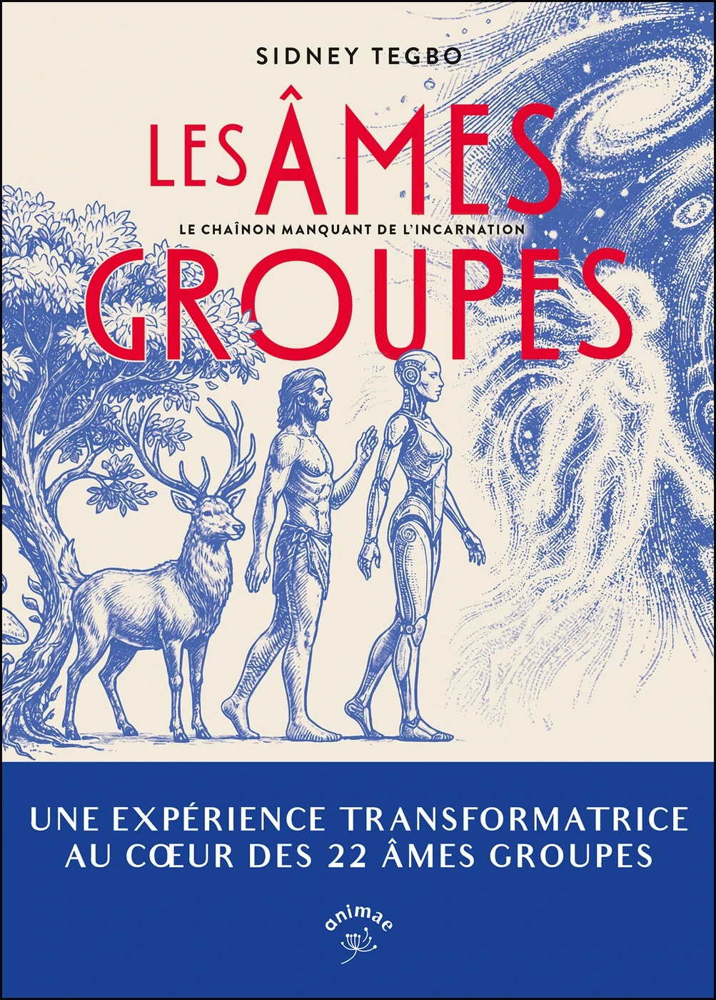 Les Ames groupes. le chaînon manquant de l'incarnation