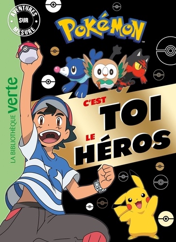 Pokemon : Aventures sur mesure : C'est toi le héros