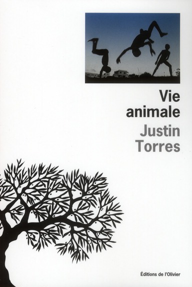 Vie animale