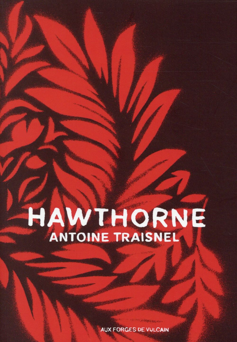 Hawthorne. Blasted allegories