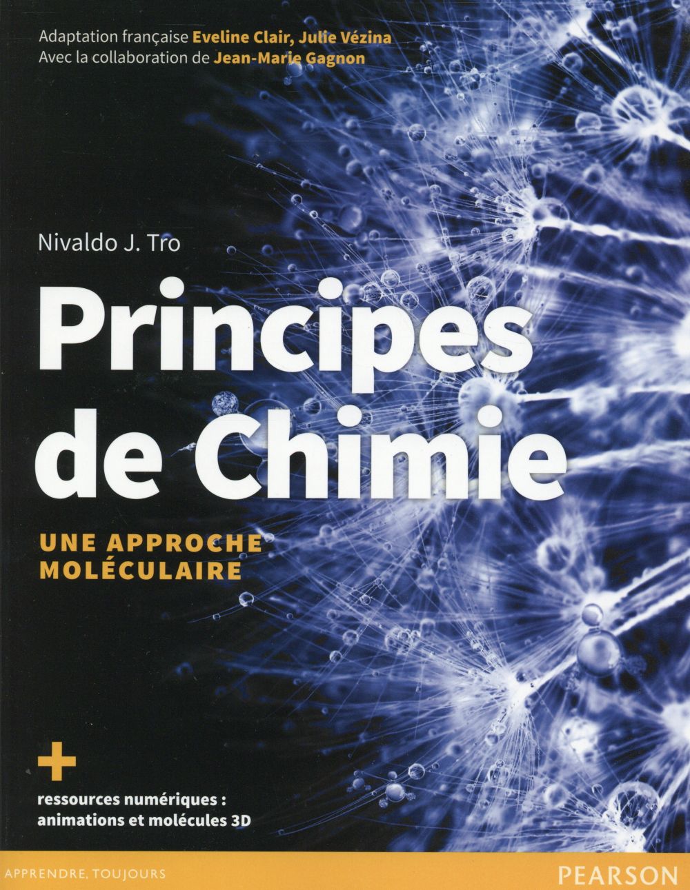 Principes de chimie. Une approche moléculaire