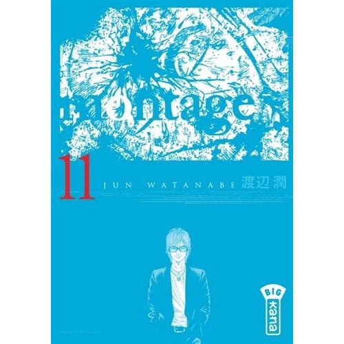 Montage Tome 11