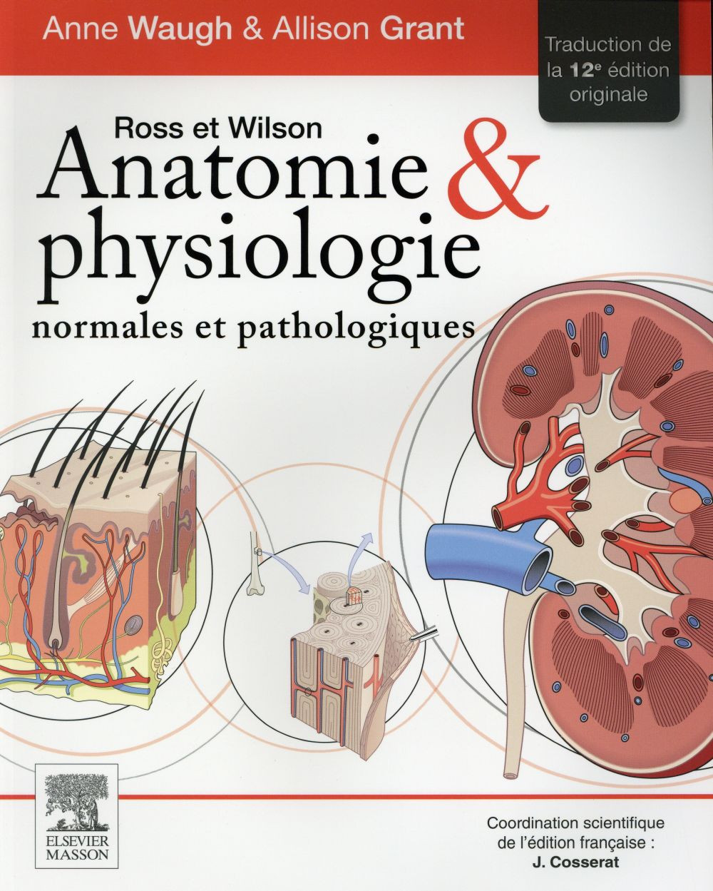Ross et Wilson anatomie et physiologie normales et pathologiques
