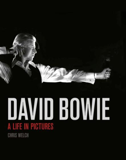 David Bowie. Une vie en images