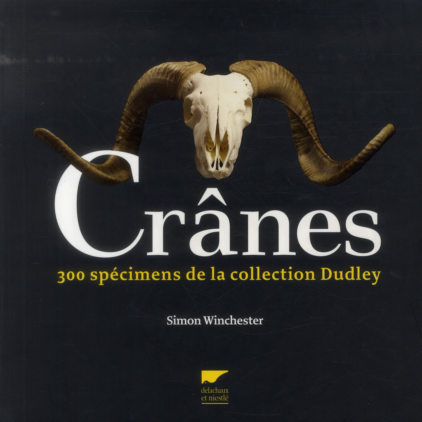 Crânes. 300 pièces de la collection Dudley