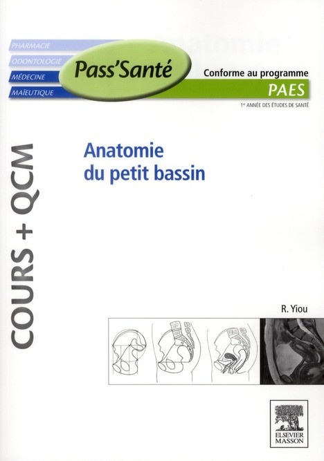 Anatomie du petit bassin